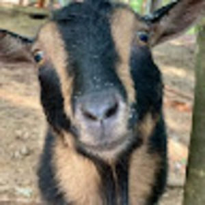 Meet your Posher, Ken